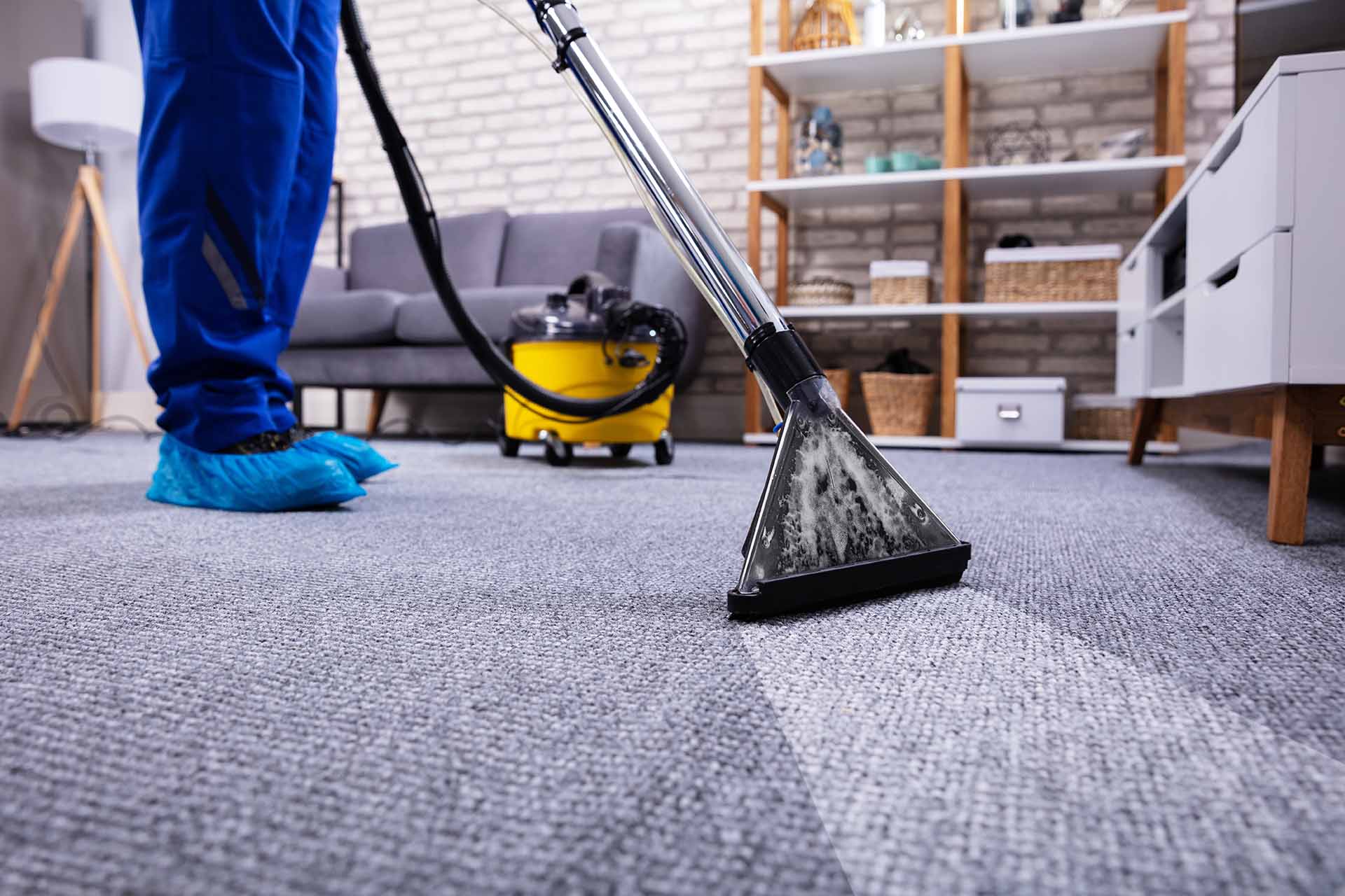 Carpet & Upholstery Cleaning Solutions - DryMaster® Systems - DryMaster  Systems